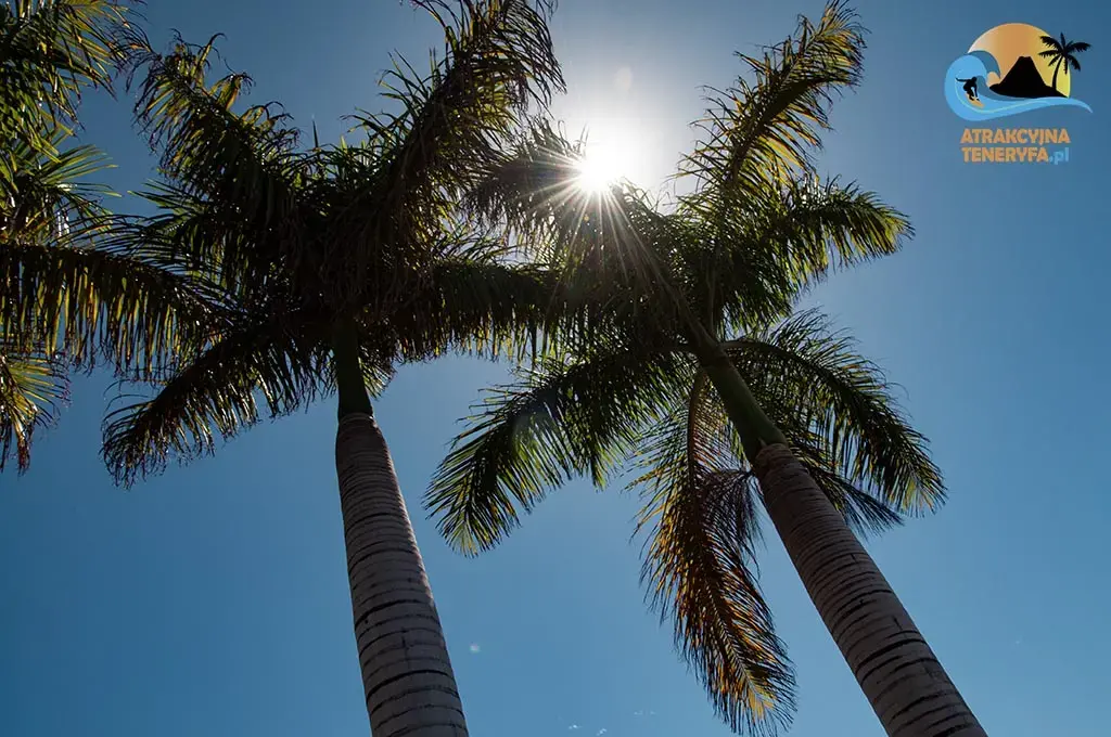 Ochrona przed słońcem na Teneryfie: Porady dla turystów