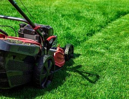 Jak skutecznie, bezpiecznie i efektywnie kosić trawnik‍